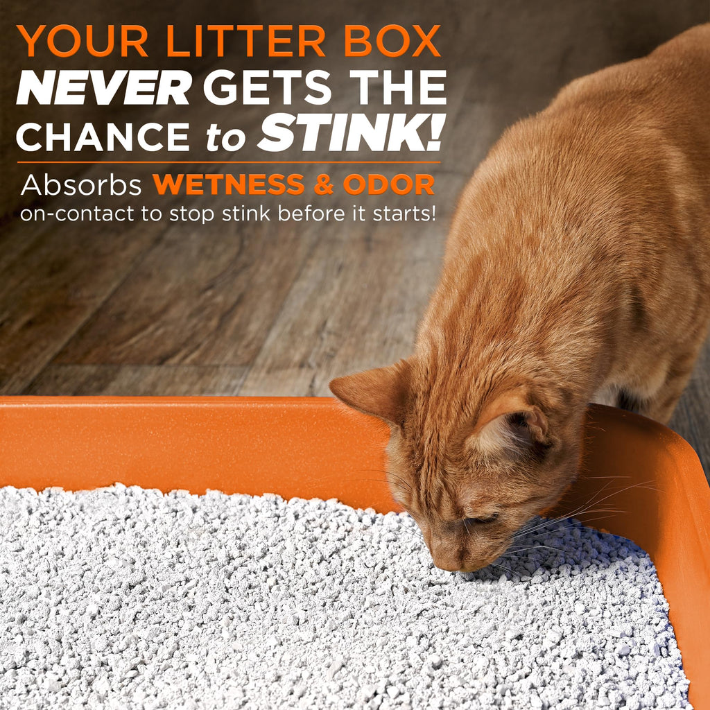 POOPH Litterizer Cat Litter Odor Eliminator Additive, 16 fl oz Bottle