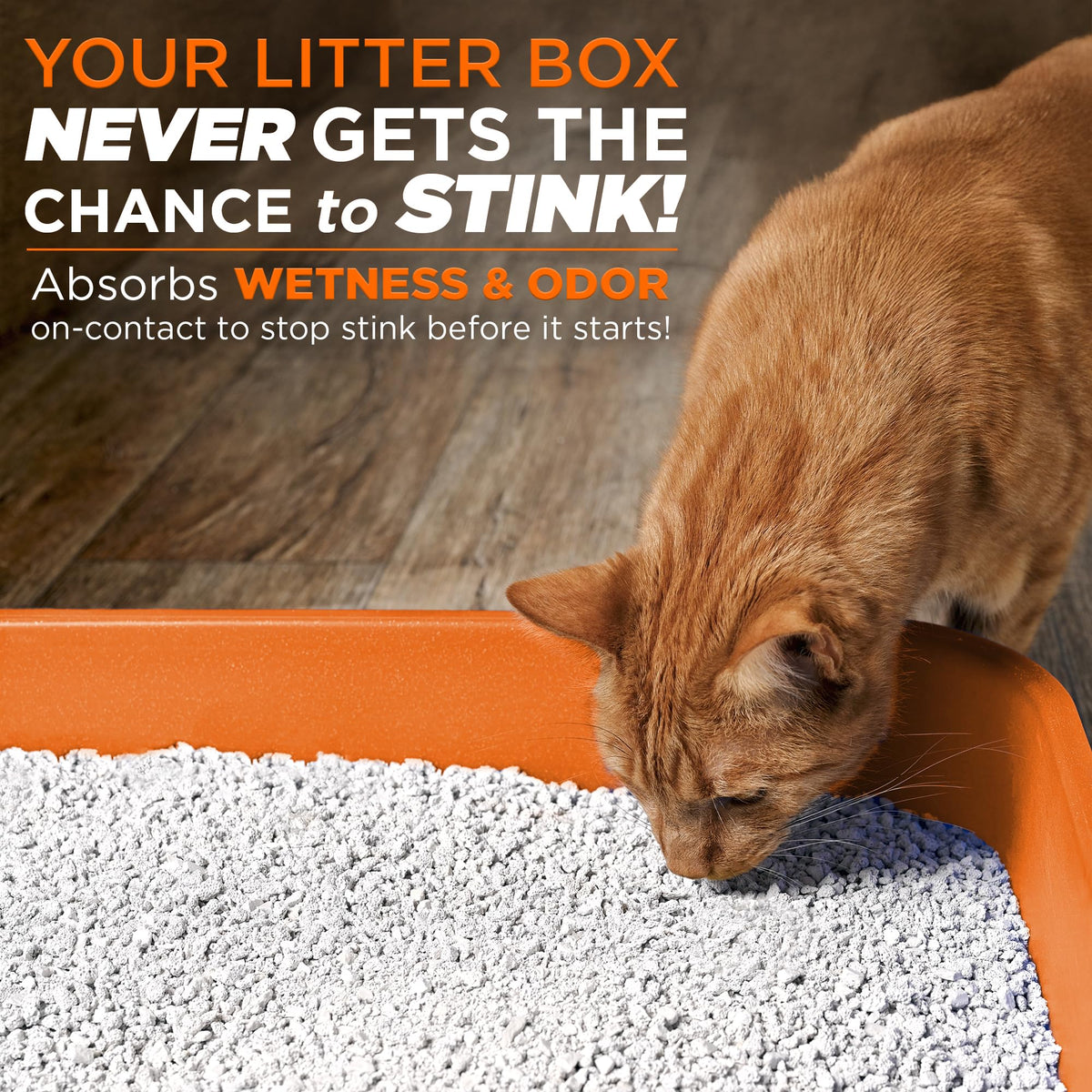 POOPH Litterizer Cat Litter Odor Eliminator Additive, 16 fl oz Bottle