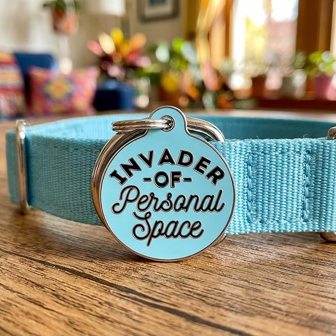 Bad Tags Personalized Dog and Cat ID Tags in 25+ Designs and 2 Sizes - 5 Lines of Custom Engraved Text - Funny Cute Personalized Pet Tags (Invader of Personal Space - Blue, Small (1 inch))