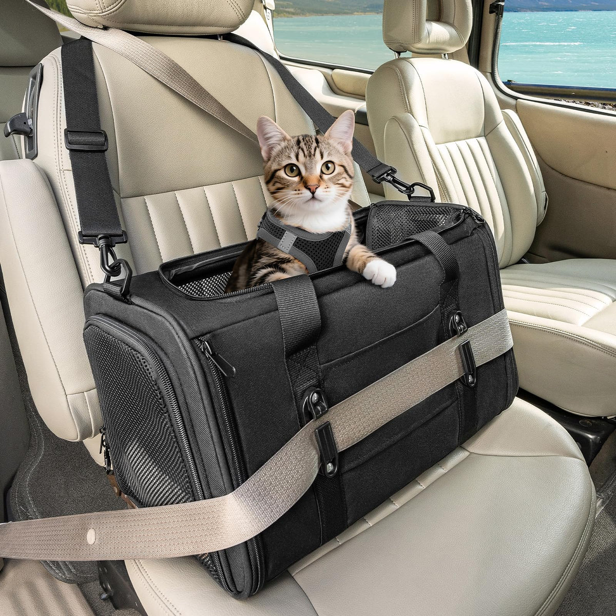 PETSFIT Large Cat Car Carrier,19 x 12 x 12