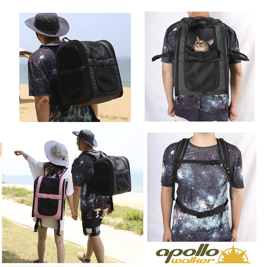 Apollo Walker Cat Carrier Backpack for Small Dogs and Cats Up to 18 lb