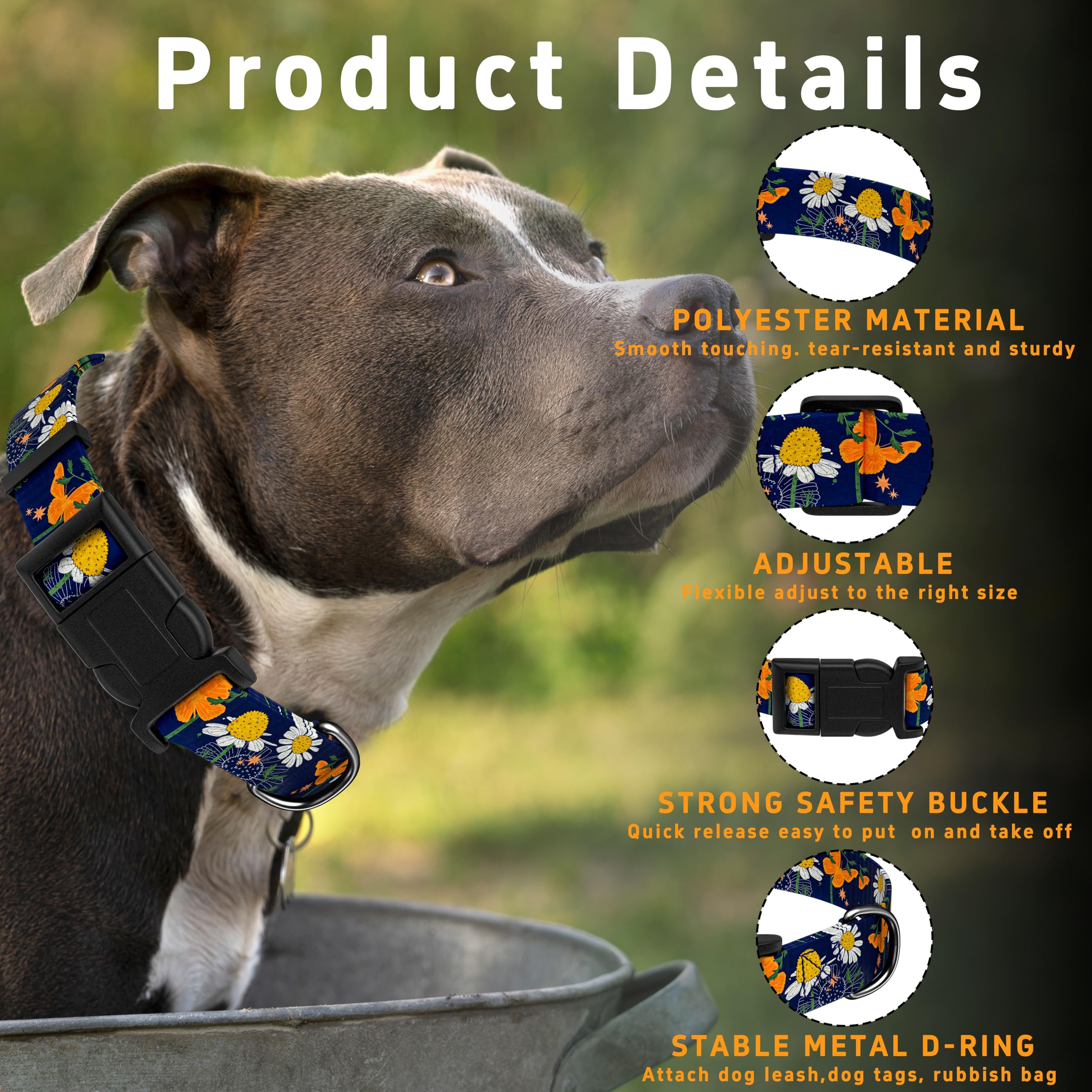 Seyezo Dog Collar with Butterflies Print, Daisy Boys Girls Puppy Collar for Small Medium Large Dogs, Adjustable Soft Floral Pet Collar with Safety Buckle for Male Females(Blue Butterfly,M)