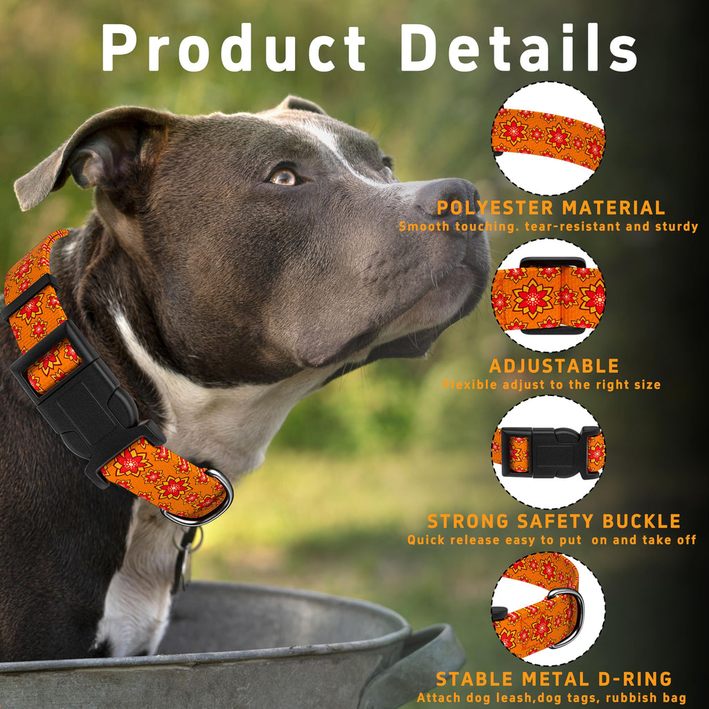 Seyezo Dog Collar, Classical Indian Spirit, Orange, S