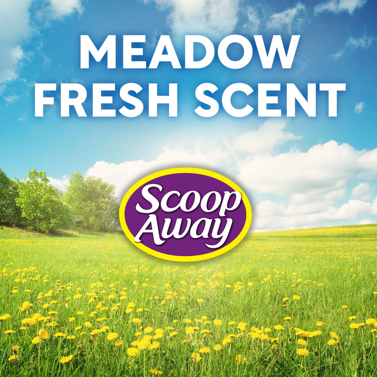 Scoop Away Advanced Multi Cat Clumping Cat Litter, 18.5lb, 2Pk