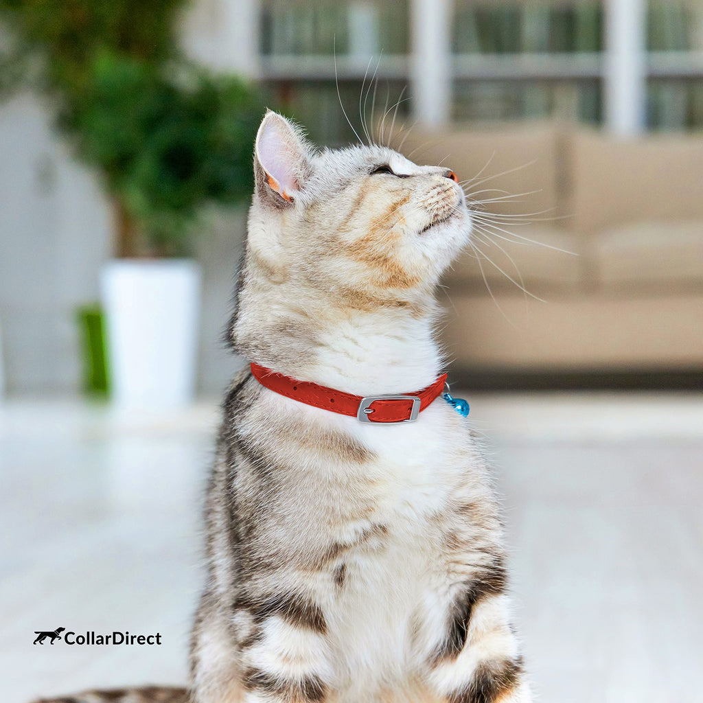 Soft Leather Cat Collar with Safety Elastic Strap