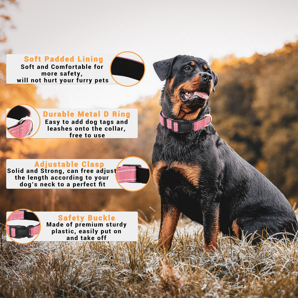 LIEVUIKEN 2 Pack Reflective Dog Collar with Safety Locking Buckle
