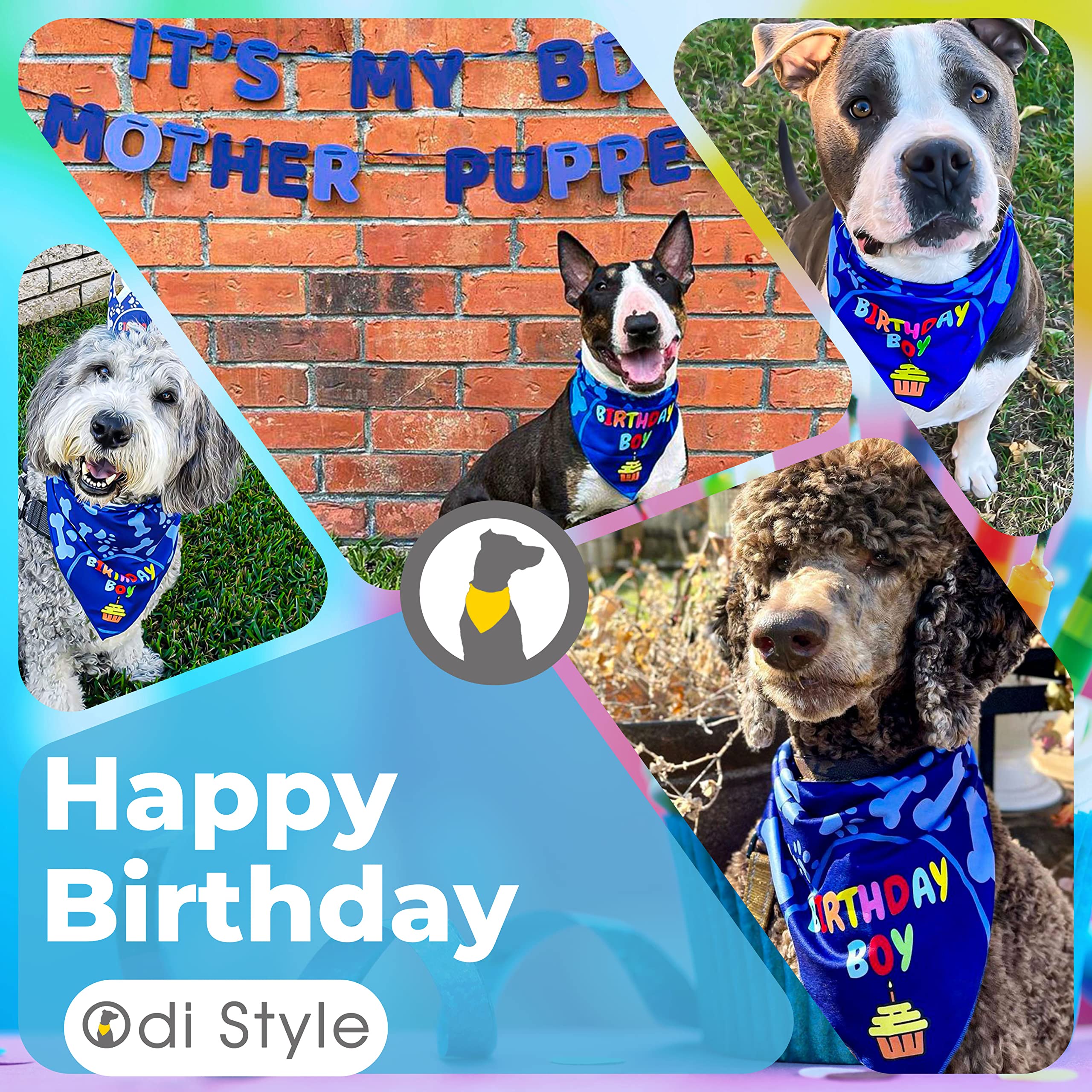 Odi Style Dog Birthday Bandana - 2 Pack Boy Girl Bandanas for Dogs Puppy Birthday Party Decorations, Small