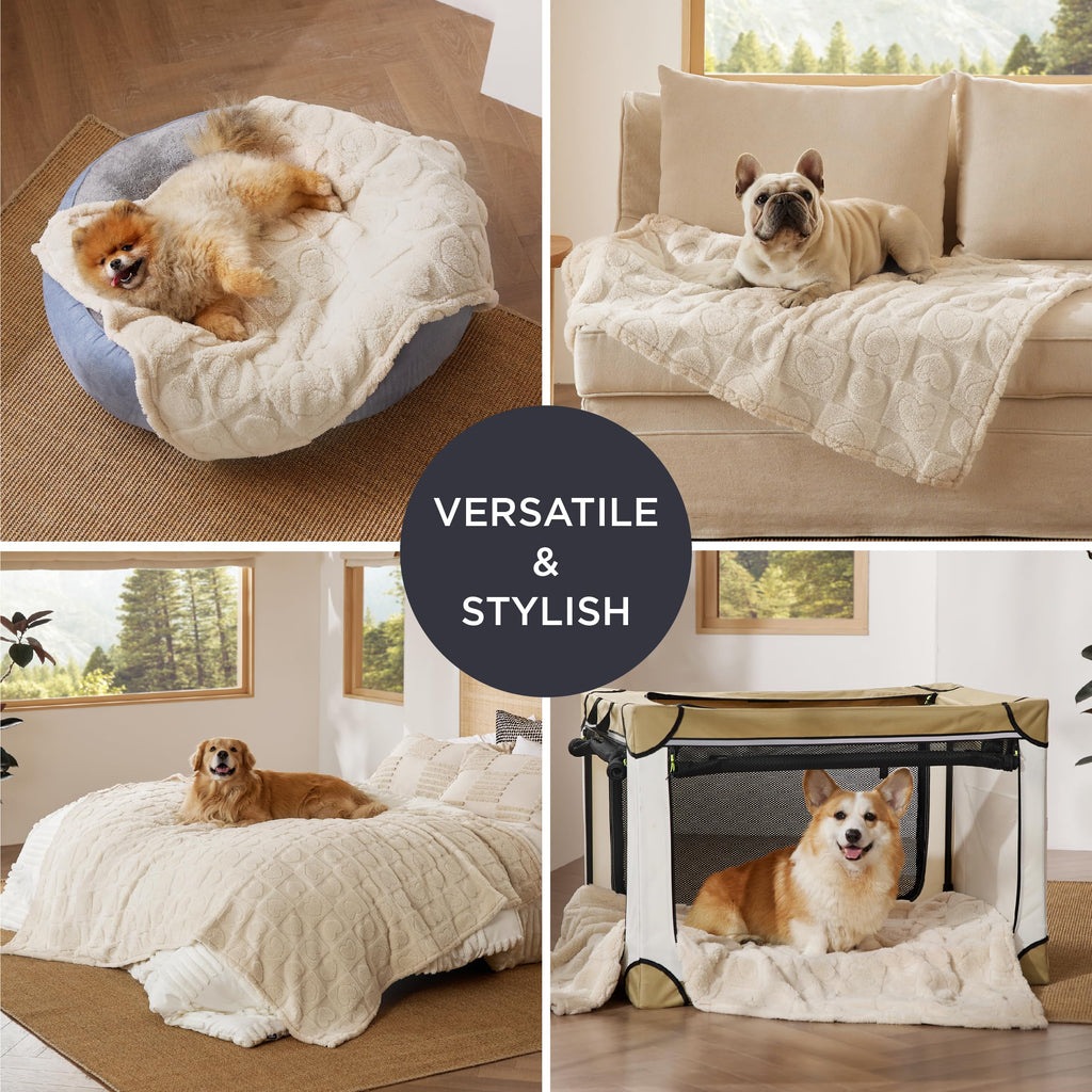 Bedsure Dog Blanket for Small Dogs Puppy Cats with Soft Fleece 25x35 White