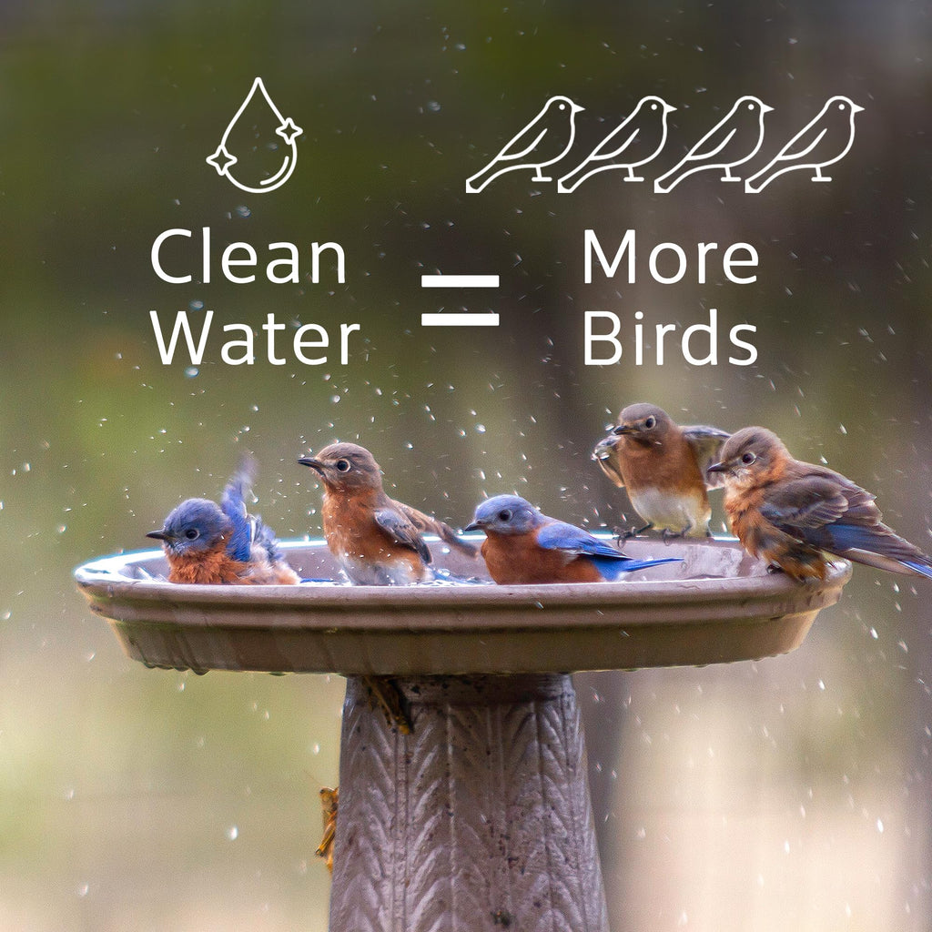 Microbe-Lift Bird Bath Clear Two-in-One Water Cleaner – 4 Oz – Safe for Birds, Fish & Frogs – Cleans Outdoor Birdbaths & Fountains – Natural Formula, Prevents Stains & Cloudiness