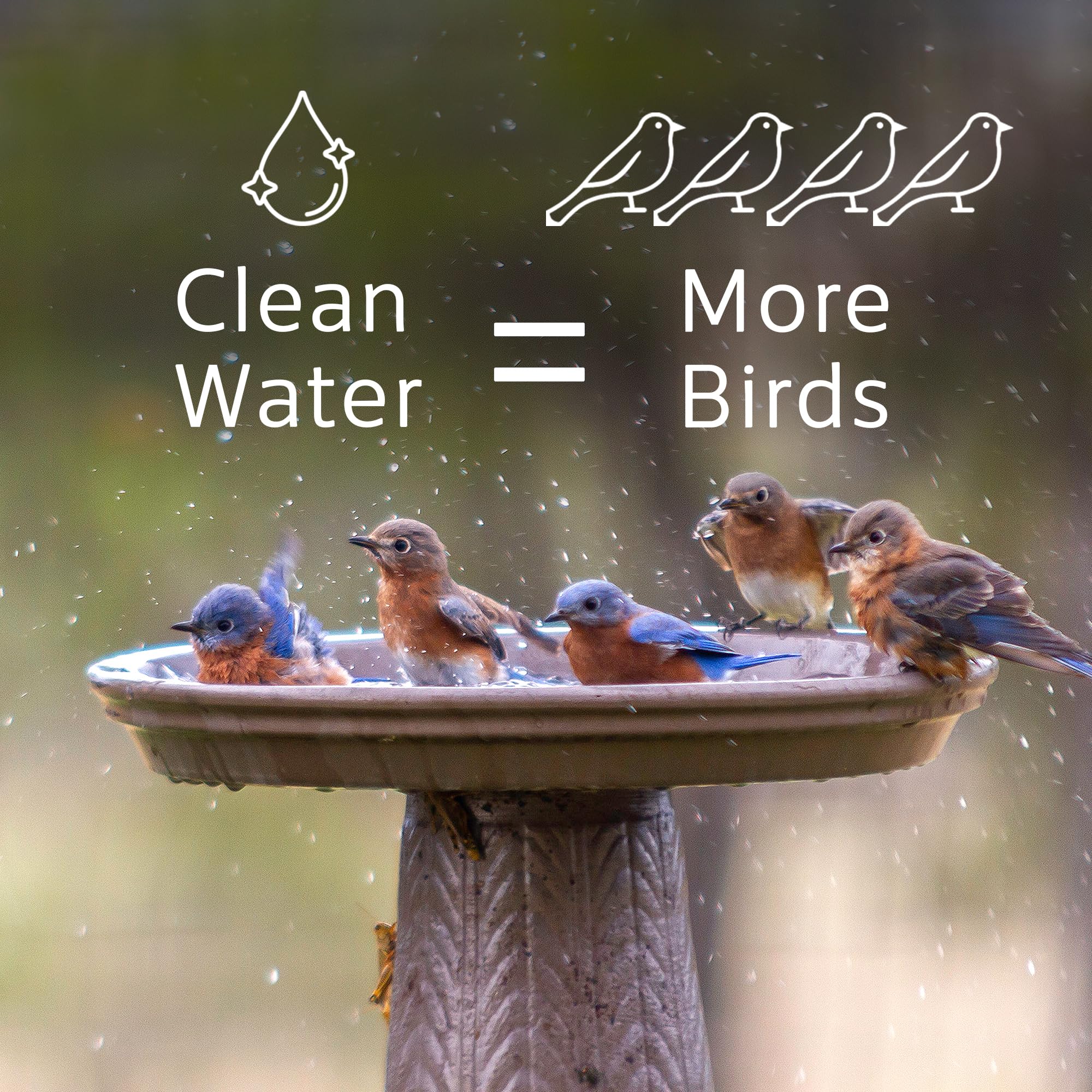 Microbe-Lift Bird Bath Clear Two-in-One Water Cleaner – 4 Oz – Safe for Birds, Fish & Frogs – Cleans Outdoor Birdbaths & Fountains – Natural Formula, Prevents Stains & Cloudiness