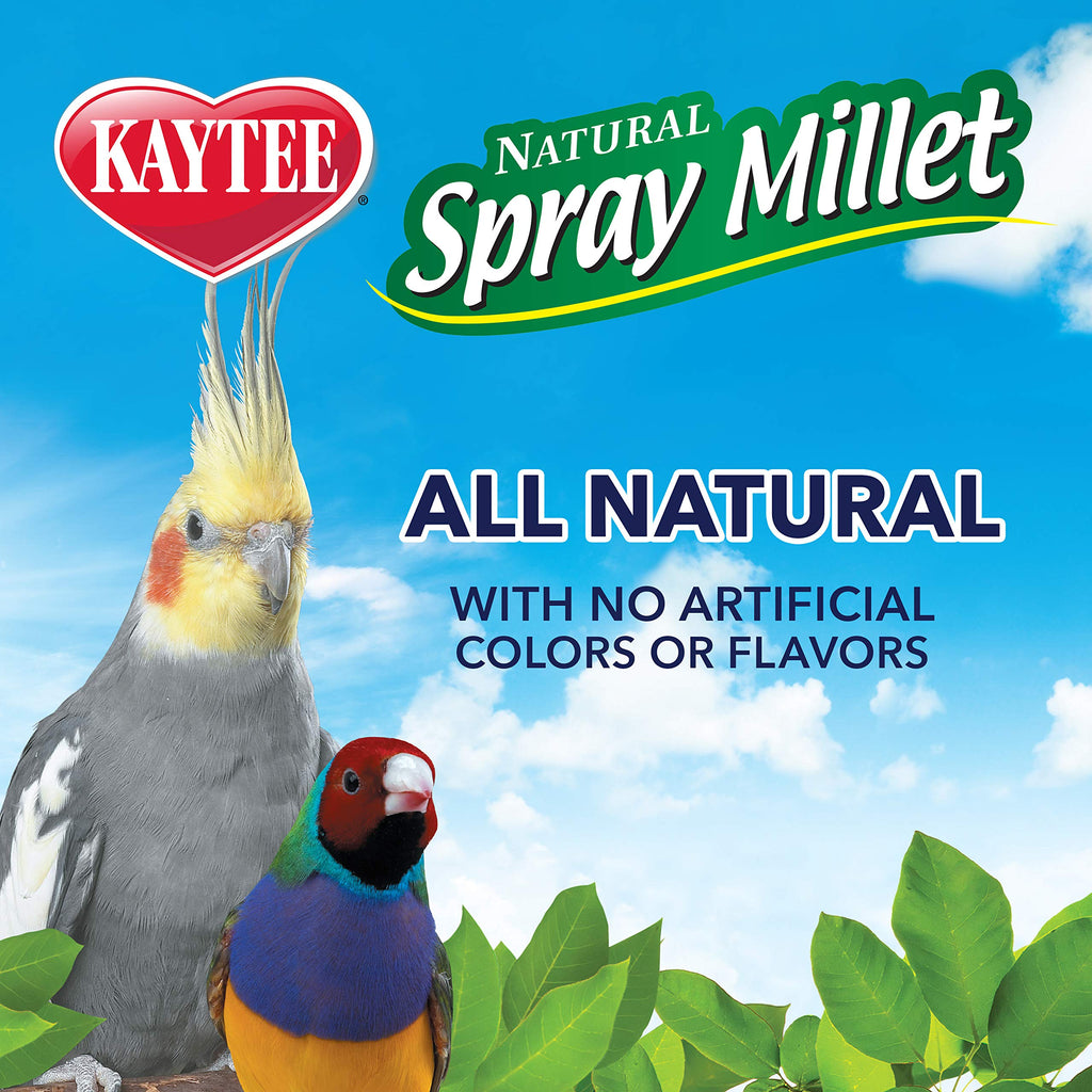 Kaytee Spray Millet Treat for Pet Birds, 7 oz