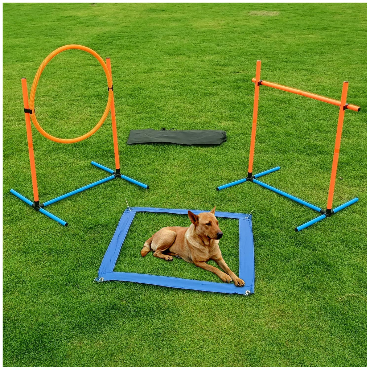 AHAILUOO Adjustable Dog Agility Hurdles with Carry Bag, 2 Sets