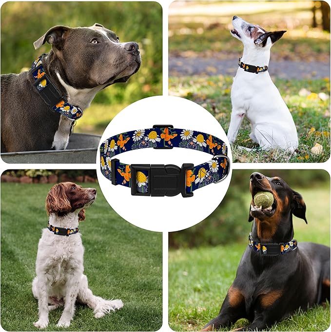 Seyezo Dog Collar with Butterflies Print, Daisy Boys Girls Puppy Collar for Small Medium Large Dogs, Adjustable Soft Floral Pet Collar with Safety Buckle for Male Females(Blue Butterfly,XS)