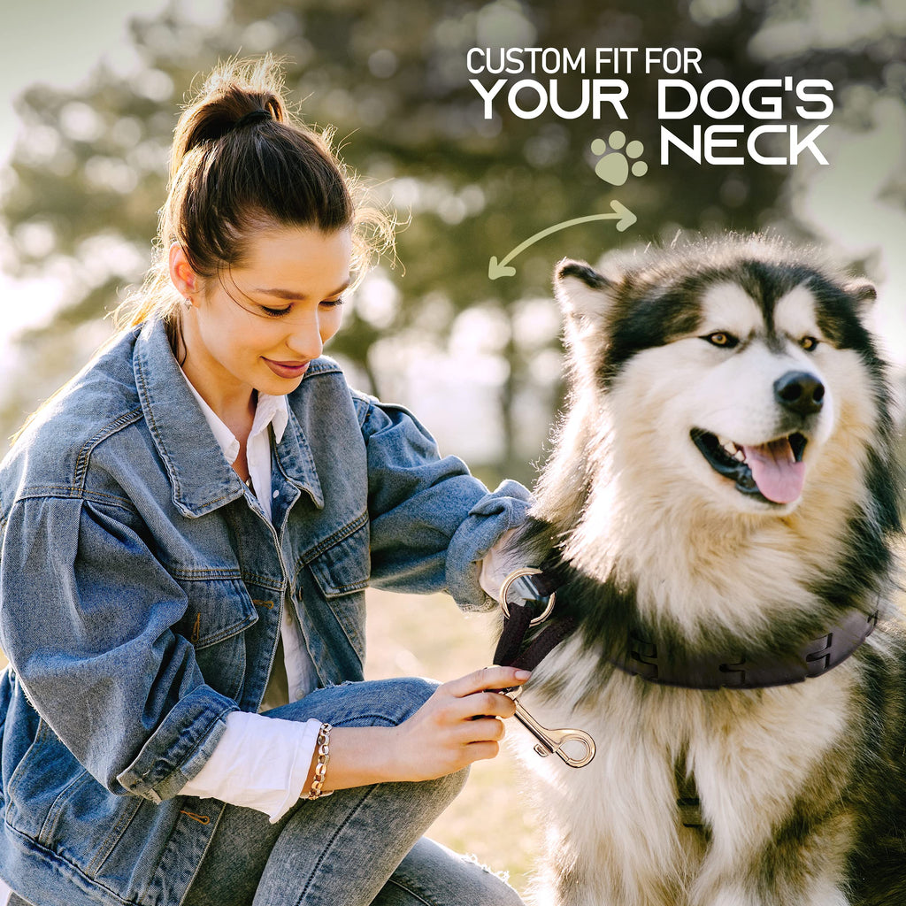 Ram-Pro Dog Training Pinch Collar Triple Crown Gentle Effective/No Barking Control for All Breeds