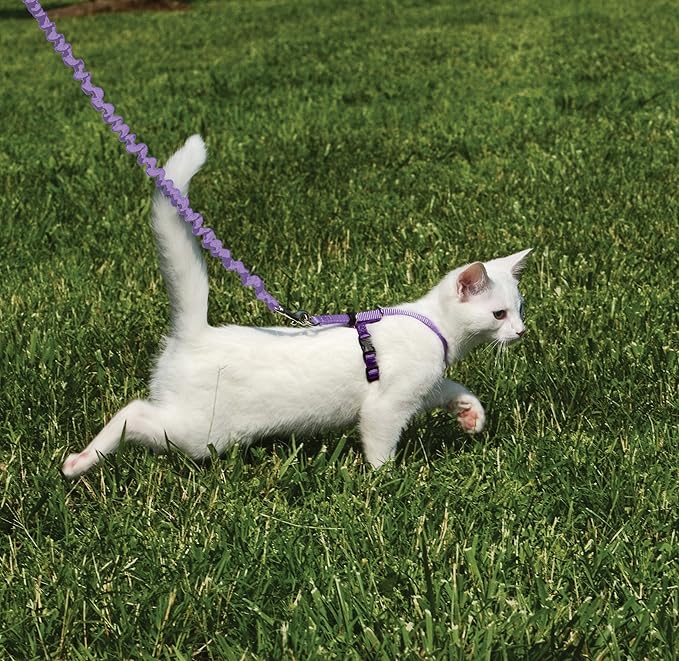 PetSafe Come with Me Kitty Harness and Bungee Leash Adjustable, Lightweight Harness for Cats Large, Lilac